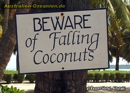 Warntafel "Beware of Falling Coconuts"