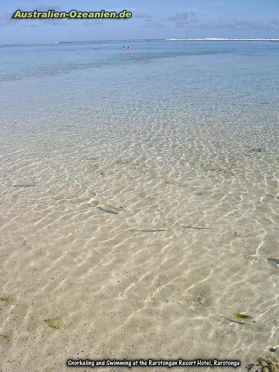 clear water with fishes