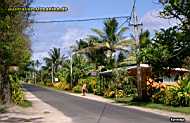 Rarotonga - road