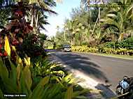 Rarotonga - road 3