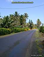Rarotonga - road 4