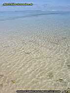 Rarotonga - clear water