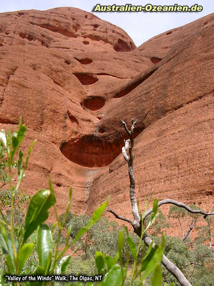 Blick nach oben, Olgas