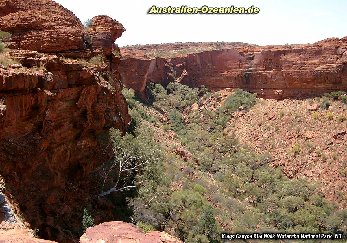 Kings Canyon Rim Walk - Panorama