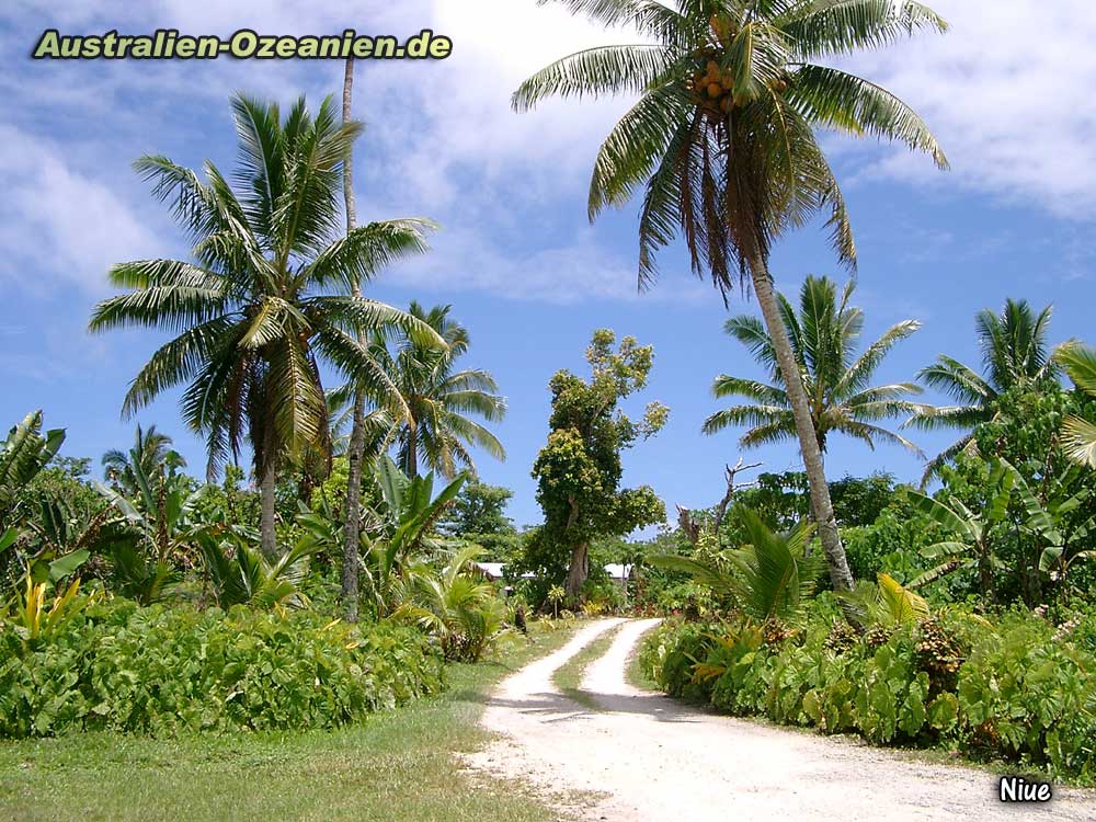 Straße im Inselinneren von Niue