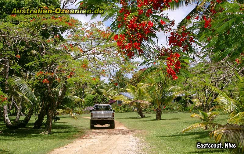 Anwesen auf Niue