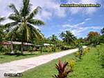 Niue Island - road east coast