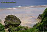 Niue Island - reef walking 02