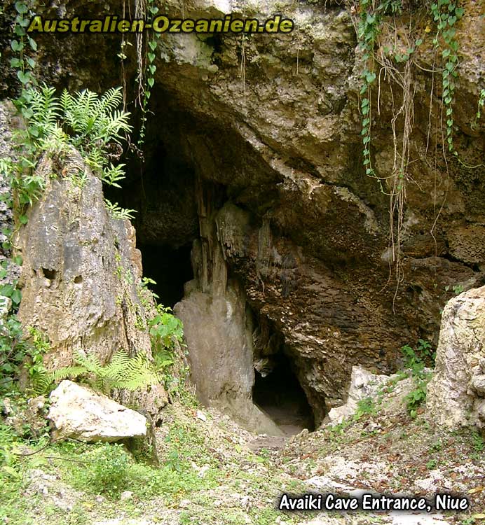 Abstieg zur Avaiki Cave