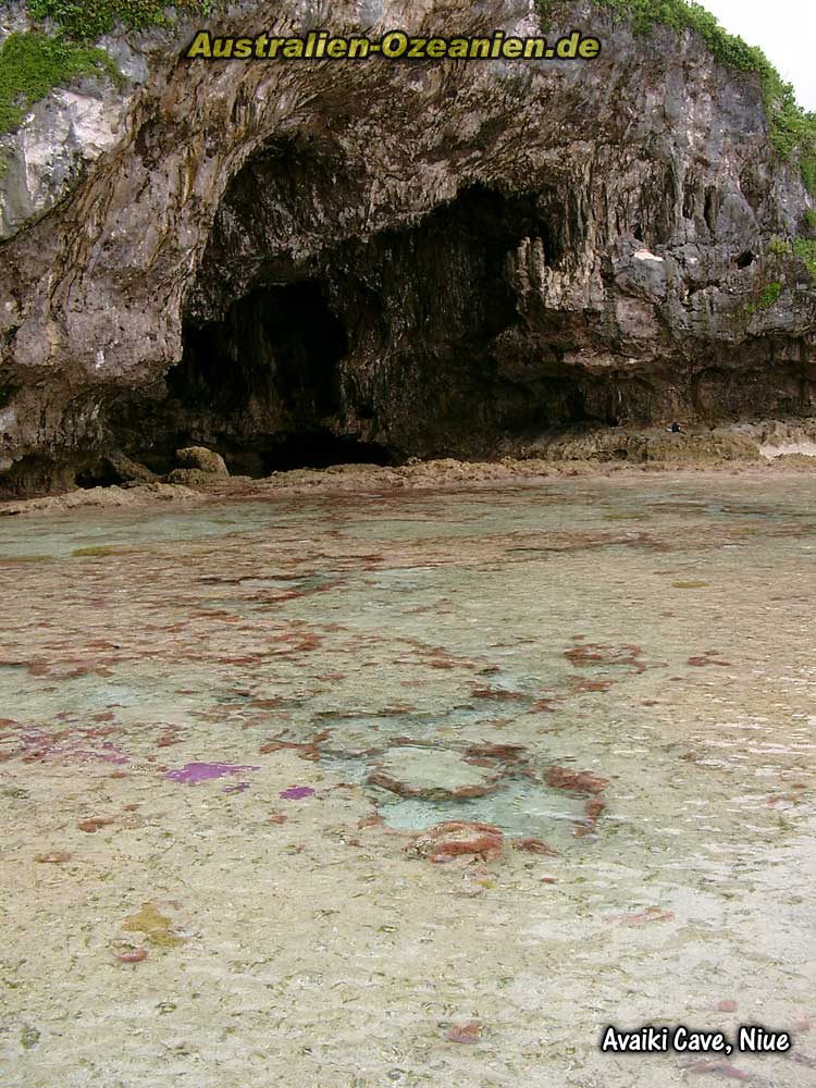 Korallenriff vor dem Höhleneingang