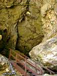 Niue Island - Avaiki Cave 2
