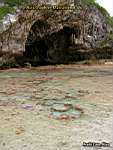 Niue Island - Avaiki Cave 3
