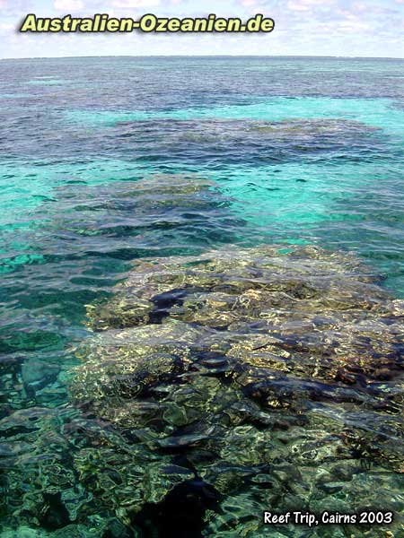 Cairns - Reef Trip auf einem großen Segelkatamaran