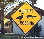 Schild "wildlife crossing"