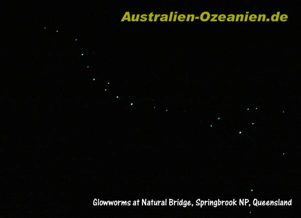 Höhlendecke mit Glowworms