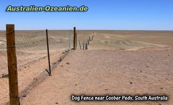 Dog Fence - der Dingo-StopperZaun