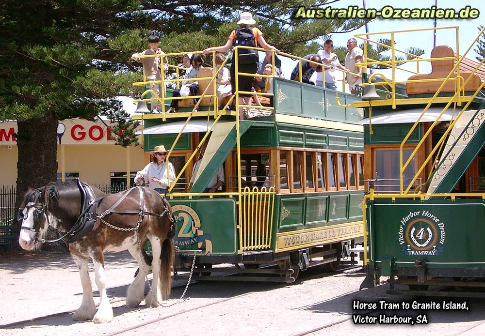 Clydesdale Pferd vor Eisenbahnwagon - Horse Tram