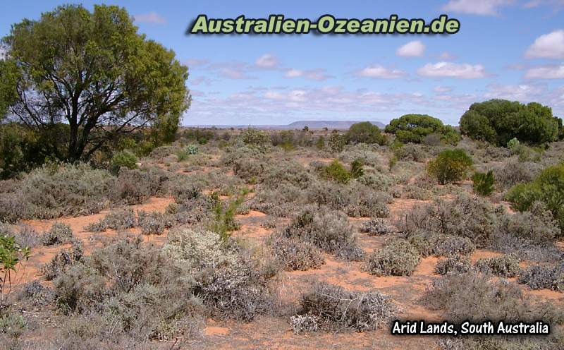 arid lands, Outback South Australia