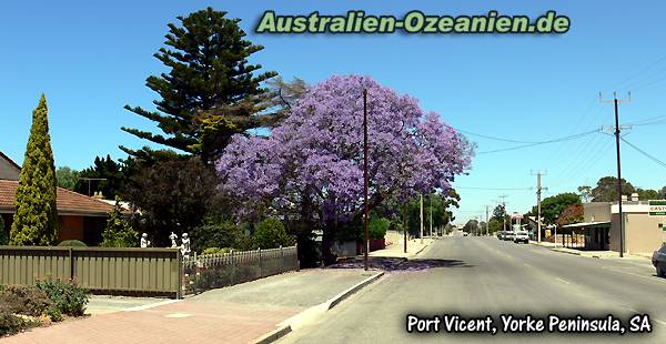 Straße in Port Vicent