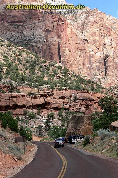 road at Zion NP