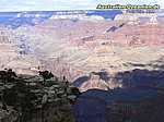 magnificent view into the Grand Canyon