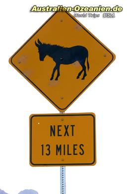 road sign "donkeys"