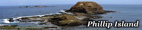Phillip Island: The Nobbies & Seal Rocks