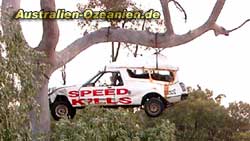 Speeding Kills - Western Australia