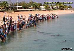 Delfine und Touristen am Strand von Monkey Mia