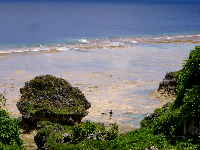 reef view Niue Island