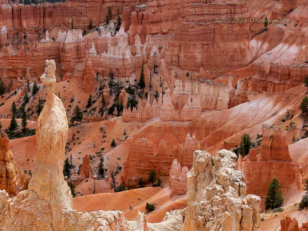 view into the Bryce Canyon