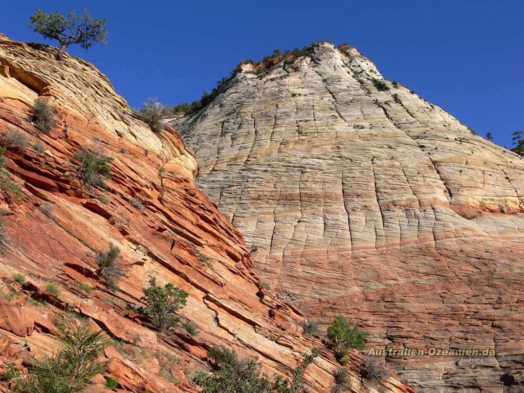 rocks at Zion National Park
