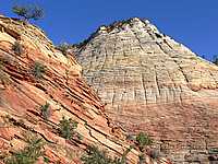 structurized rock at Zion National Park