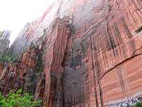 magnificent rock wall at Zion